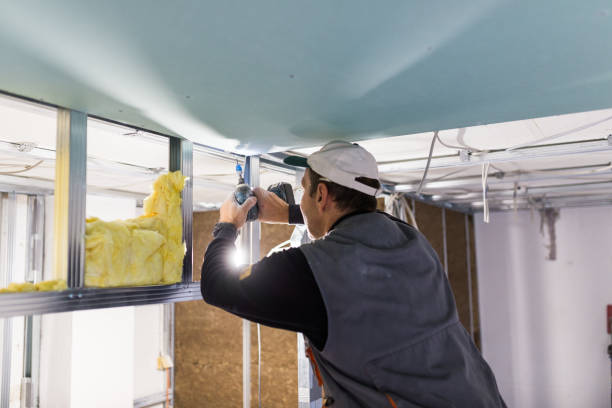 Best Cellulose Insulation in Brilliant, OH