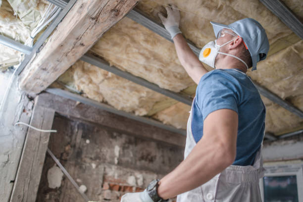 Best DIY Insulation Kits and Guidance in Brilliant, OH